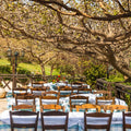 Shopping & Dining: Athens Designer Outlet & Local Gastronomy