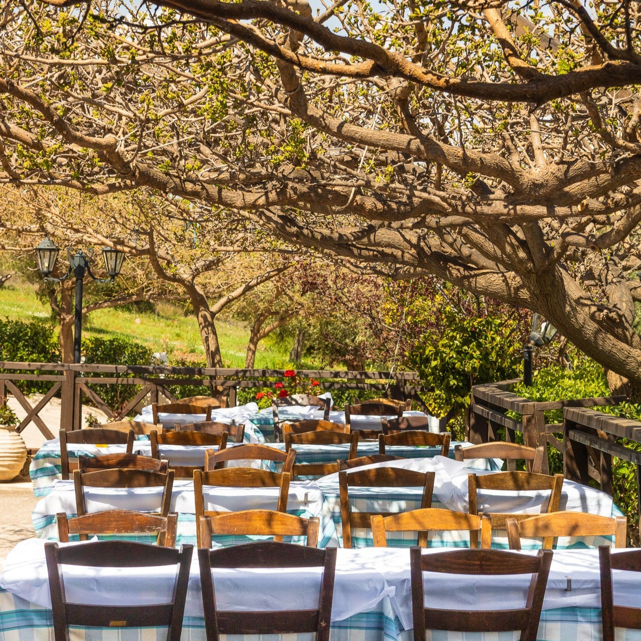 Airport transfer & Food Experience