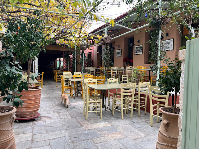 Shopping & Dining: Athens Designer Outlet & Local Gastronomy