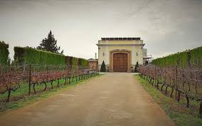 Mythology & Vines: Exploring the Temple of Artemis & Mesogaia Wineries